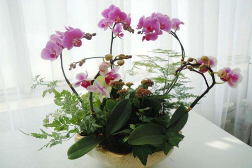芭比瘦减肥药久久综合九色欧美综合狠狠，塑造梦想身材的新秘密武器